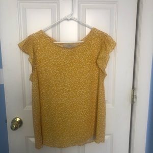 Anne Taylor Loft blouse
